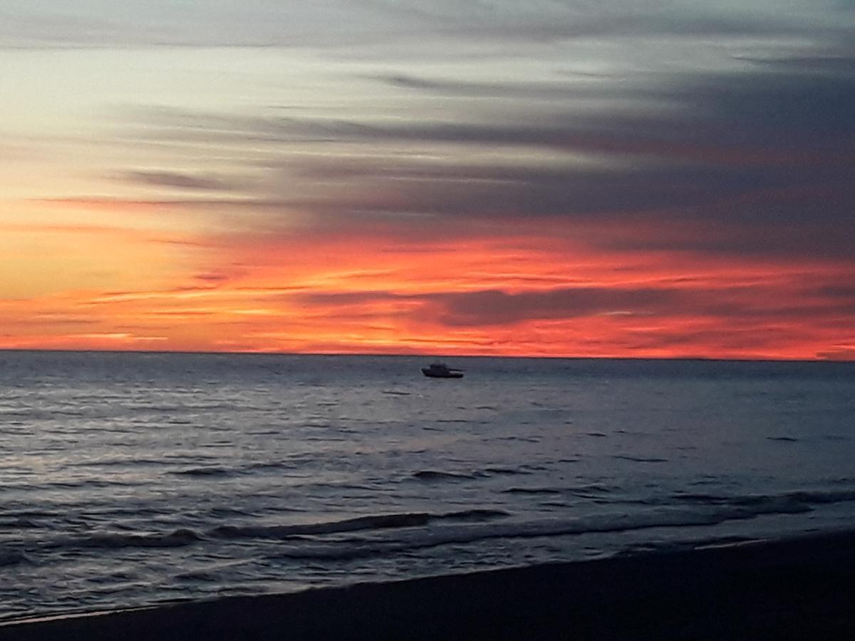 Su Terasa Jaukus Apartamentas, Tik Vienas Palanga Extérieur photo